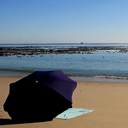 Montserrat Self Catering Beachfront Holiday home *